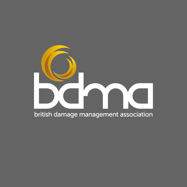 BDMA News Logo