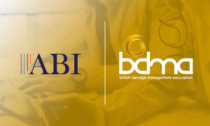 ABI e-Learning Offer - The BDMA